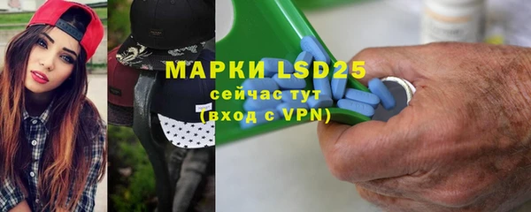 индика Магас
