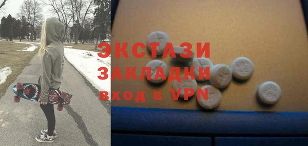 индика Магас