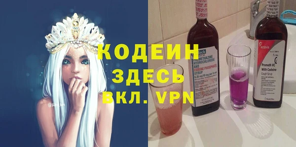 индика Магас