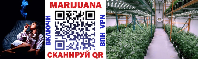 Купить  Оренбург  Шишки марихуана марихуана 